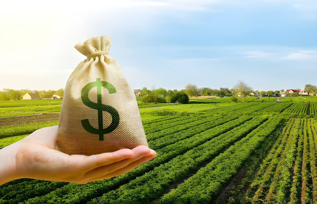 Agribusiness finance and agricultural investment